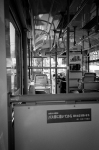 ���U���ʐ^�A���o�� 2013.07.27Yokohama IKON GR28mmF2.8 400TX 21 2013.07.27 ���l IKON GR28/2.8 400TX D76 1:1