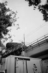 ���U���ʐ^�A���o�� 2013.07.27Yokohama IKON GR28mmF2.8 400TX 33 2013.07.27 ���l IKON GR28/2.8 400TX D76 1:1