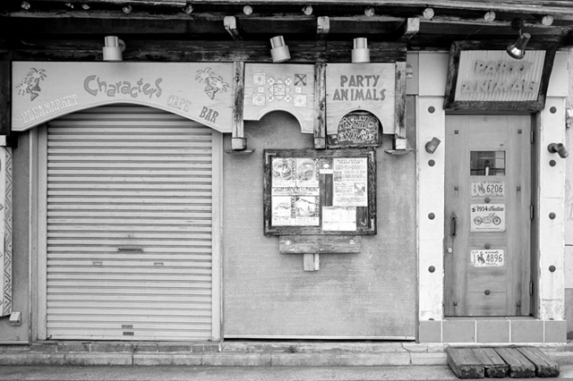���U���ʐ^�A���o�� f-2013.08.10Yokohama-IKON-Elmarit28mmF2.8-ACROS100-13.jpg 2013.08.10<BR>���l<BR>IKON Elmarit28/2.8<BR>ACROS100 D76 1:1