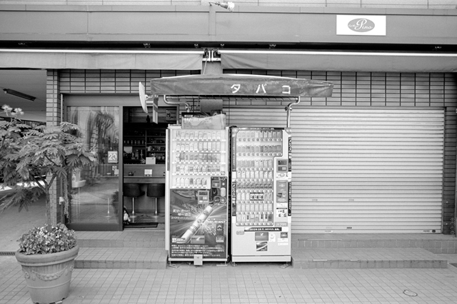 ���U���ʐ^�A���o�� f-2013.08.10Yokohama-IKON-Elmarit28mmF2.8-ACROS100-33.jpg 2013.08.10<BR>���l<BR>IKON Elmarit28/2.8<BR>ACROS100 D76 1:1