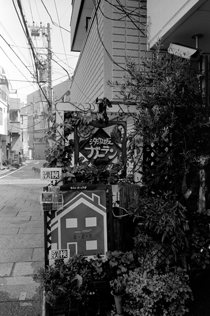 ���U���ʐ^�A���o�� f-2013.08.10Yokohama-IKON-Elmarit28mmF2.8-ACROS100-36.jpg 2013.08.10<BR>���l<BR>IKON Elmarit28/2.8<BR>ACROS100 D76 1:1