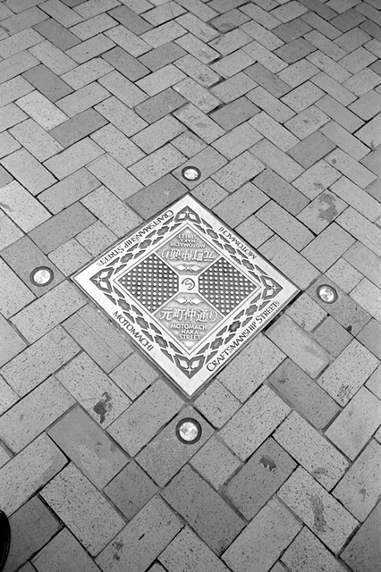 ���U���ʐ^�A���o�� f-2013.08.10Yokohama-IKON-Elmarit28mmF2.8-ACROS100-38.jpg 2013.08.10<BR>���l<BR>IKON Elmarit28/2.8<BR>ACROS100 D76 1:1