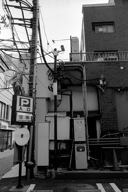 ���U���ʐ^�A���o�� f-2013.08.10Yokohama-IKON-Elmarit28mmF2.8-ACROS100-41.jpg 2013.08.10<BR>���l<BR>IKON Elmarit28/2.8<BR>ACROS100 D76 1:1