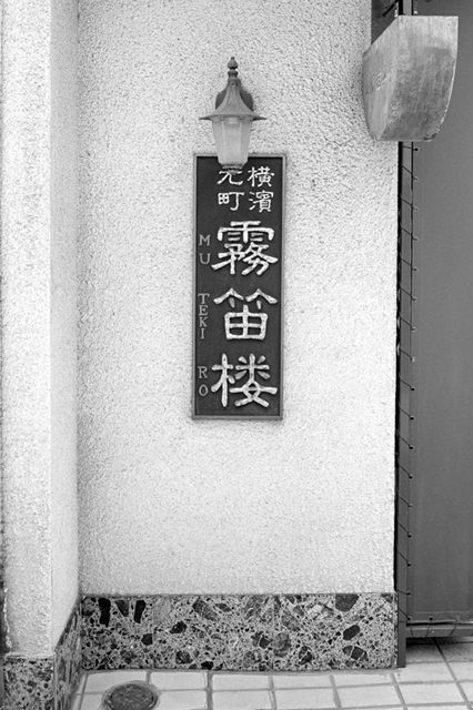 ���U���ʐ^�A���o�� f-2013.08.10Yokohama-IKON-Elmarit28mmF2.8-ACROS100-44.jpg 2013.08.10<BR>���l<BR>IKON Elmarit28/2.8<BR>ACROS100 D76 1:1