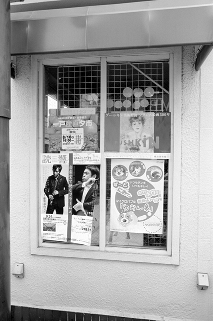 ���U���ʐ^�A���o�� f-2013.08.10Yokohama-IKON-Elmarit28mmF2.8-ACROS100-49.jpg 2013.08.10<BR>���l<BR>IKON Elmarit28/2.8<BR>ACROS100 D76 1:1