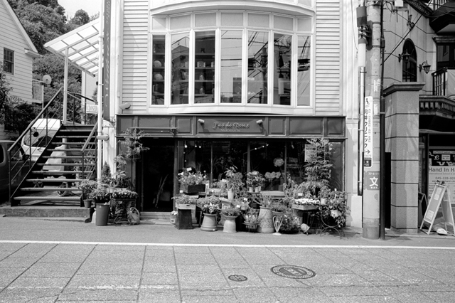 ���U���ʐ^�A���o�� f-2013.08.10Yokohama-IKON-Elmarit28mmF2.8-ACROS100-50.jpg 2013.08.10<BR>���l<BR>IKON Elmarit28/2.8<BR>ACROS100 D76 1:1