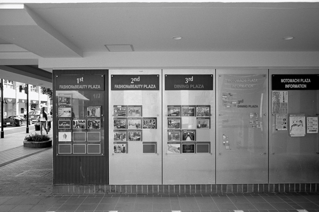 ���U���ʐ^�A���o�� f-2013.08.10Yokohama-IKON-Elmarit28mmF2.8-ACROS100-54.jpg 2013.08.10<BR>���l<BR>IKON Elmarit28/2.8<BR>ACROS100 D76 1:1