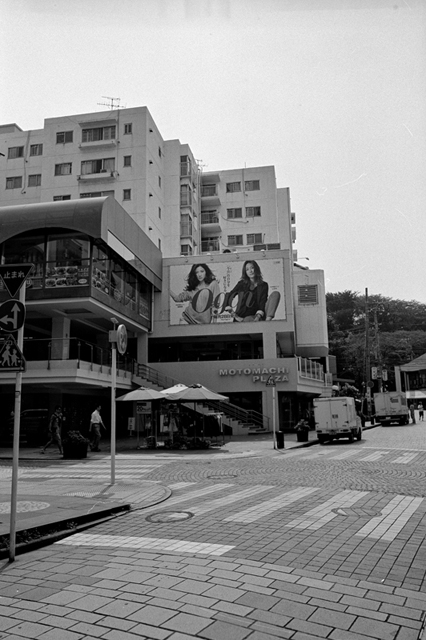���U���ʐ^�A���o�� f-2013.08.10Yokohama-IKON-Elmarit28mmF2.8-ACROS100-55.jpg 2013.08.10<BR>���l<BR>IKON Elmarit28/2.8<BR>ACROS100 D76 1:1