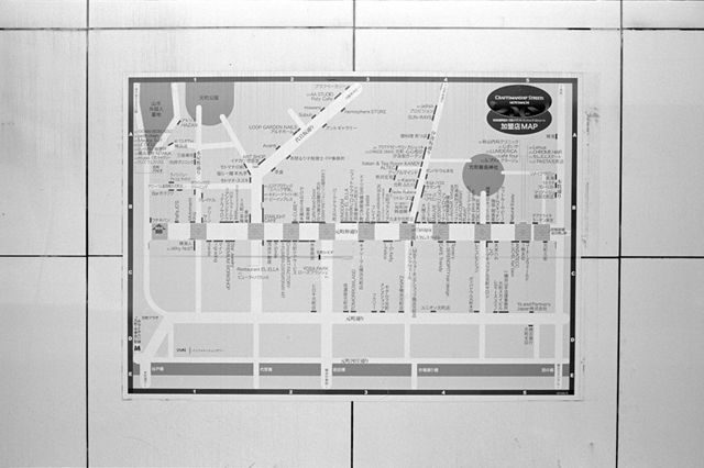 ���U���ʐ^�A���o�� f-2013.08.10Yokohama-IKON-Elmarit28mmF2.8-ACROS100-56.jpg 2013.08.10<BR>���l<BR>IKON Elmarit28/2.8<BR>ACROS100 D76 1:1