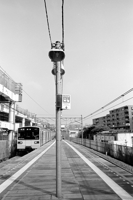 ���U���ʐ^�A���o�� f-2013.08.10Yokohama-IKON-Elmarit28mmF2.8-ACROS100-57.jpg 2013.08.10<BR>���l<BR>IKON Elmarit28/2.8<BR>ACROS100 D76 1:1
