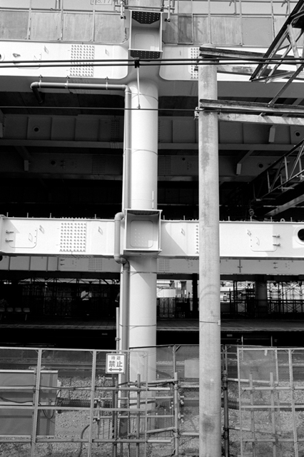 ���U���ʐ^�A���o�� f-2013.08.10Yokohama-IKON-Elmarit28mmF2.8-ACROS100-59.jpg 2013.08.10<BR>���l<BR>IKON Elmarit28/2.8<BR>ACROS100 D76 1:1