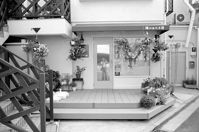 ���U���ʐ^�A���o�� f-2013.08.10Yokohama-IKON-Elmarit28mmF2.8-ACROS100-60.jpg 2013.08.10<BR>���l<BR>IKON Elmarit28/2.8<BR>ACROS100 D76 1:1