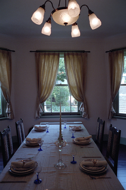���U���ʐ^�A���o�� f-2013.08.11Yokohama-IKON-Elmarit28mmF2.8-PN400N-202.jpg 2013.08.11<BR>���l<BR>IKON Elmarit28/2.8<BR>PN400N