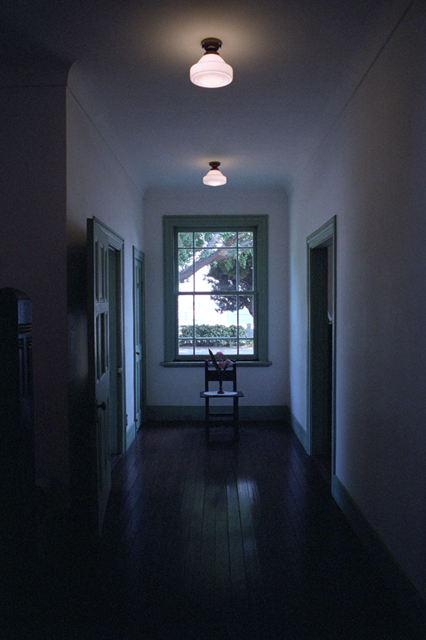 ���U���ʐ^�A���o�� f-2013.08.11Yokohama-IKON-Elmarit28mmF2.8-PN400N-209.jpg 2013.08.11<BR>���l<BR>IKON Elmarit28/2.8<BR>PN400N