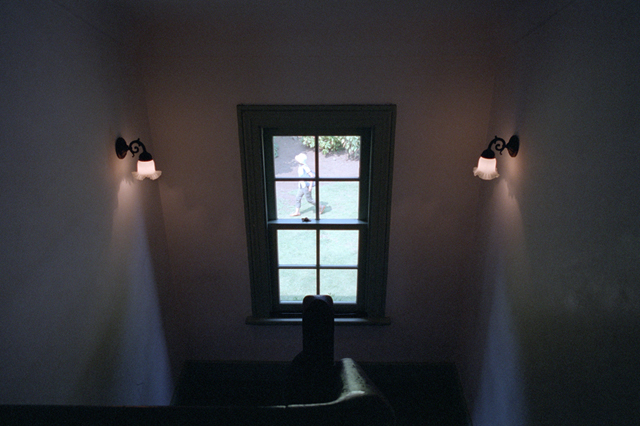 ���U���ʐ^�A���o�� f-2013.08.11Yokohama-IKON-Elmarit28mmF2.8-PN400N-210.jpg 2013.08.11<BR>���l<BR>IKON Elmarit28/2.8<BR>PN400N