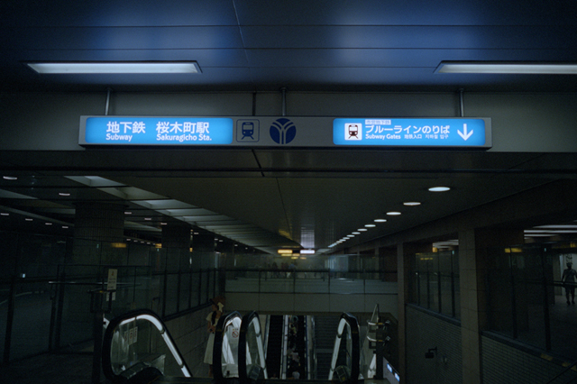 ���U���ʐ^�A���o�� f-2013.08.11Yokohama-IKON-Elmarit28mmF2.8-PN400N-238.jpg 2013.08.11<BR>���l<BR>IKON Elmarit28/2.8<BR>PN400N