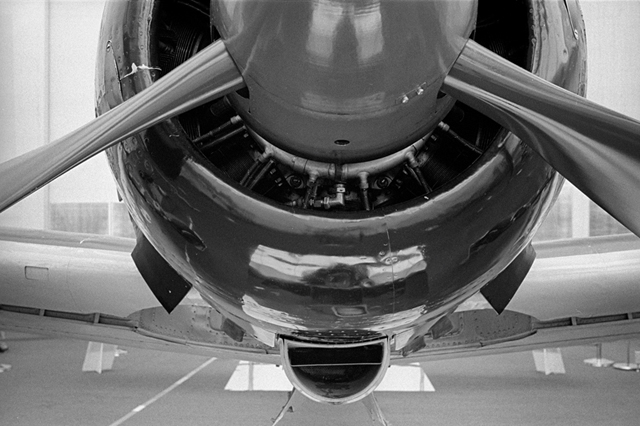���U���ʐ^�A���o�� f-2013.08.14Tokorozawa-IKON-Elmarit28mmF2.8-400TX-033.jpg 2013.08.14<BR>����<BR>IKON Elmarit28/2.8<BR>400TX D76 1:1