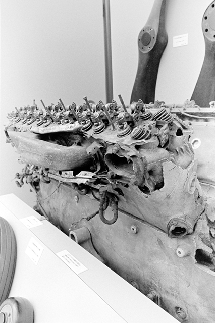 ���U���ʐ^�A���o�� f-2013.08.14Tokorozawa-IKON-Elmarit28mmF2.8-400TX-044.jpg 2013.08.14<BR>����<BR>IKON Elmarit28/2.8<BR>400TX D76 1:1