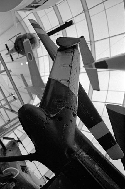 ���U���ʐ^�A���o�� f-2013.08.14Tokorozawa-IKON-Elmarit28mmF2.8-400TX-049.jpg 2013.08.14<BR>����<BR>IKON Elmarit28/2.8<BR>400TX D76 1:1