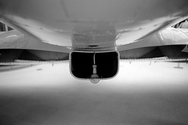 ���U���ʐ^�A���o�� f-2013.08.14Tokorozawa-IKON-Elmarit28mmF2.8-400TX-051.jpg 2013.08.14<BR>����<BR>IKON Elmarit28/2.8<BR>400TX D76 1:1