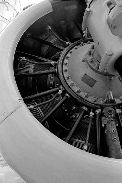 ���U���ʐ^�A���o�� f-2013.08.14Tokorozawa-IKON-Elmarit28mmF2.8-400TX-052.jpg 2013.08.14<BR>����<BR>IKON Elmarit28/2.8<BR>400TX D76 1:1