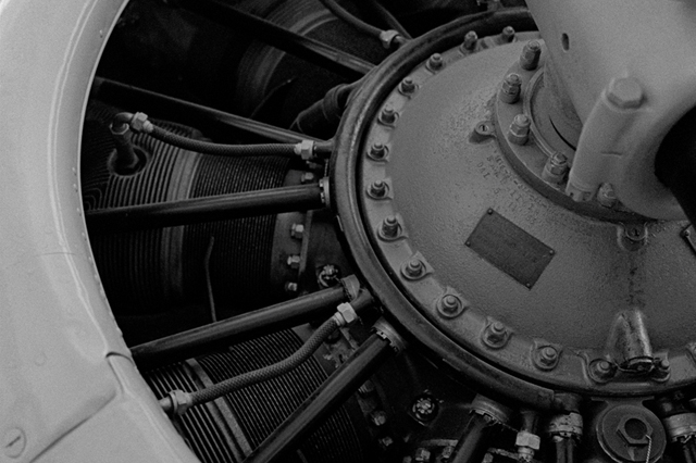 ���U���ʐ^�A���o�� f-2013.08.14Tokorozawa-IKON-Elmarit28mmF2.8-400TX-055.jpg 2013.08.14<BR>����<BR>IKON Elmarit28/2.8<BR>400TX D76 1:1