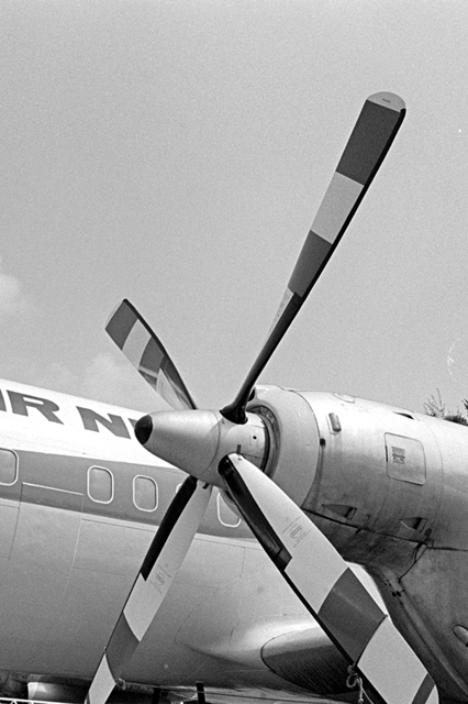 ���U���ʐ^�A���o�� f-2013.08.14Tokorozawa-IKON-Elmarit28mmF2.8-400TX-056.jpg 2013.08.14<BR>����<BR>IKON Elmarit28/2.8<BR>400TX D76 1:1