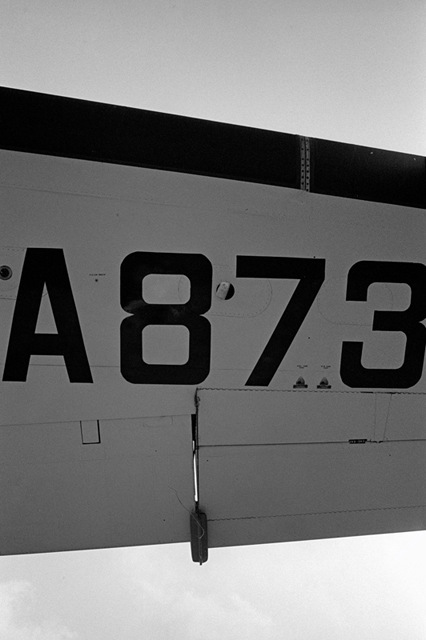 ���U���ʐ^�A���o�� f-2013.08.14Tokorozawa-IKON-Elmarit28mmF2.8-400TX-059.jpg 2013.08.14<BR>����<BR>IKON Elmarit28/2.8<BR>400TX D76 1:1