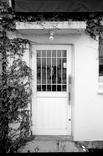 ���U���ʐ^�A���o�� f-2013.08.24Yokohama-IKON-Elmarit28mmF2.8-ACROS100-006.jpg 2013.08.24<BR>���l<BR>IKON Elmarit28/2.8<BR>ACROS100 D76 1:1