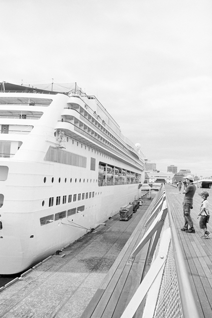 ���U���ʐ^�A���o�� f-2013.08.24Yokohama-IKON-Elmarit28mmF2.8-ACROS100-026.jpg 2013.08.24<BR>���l<BR>IKON Elmarit28/2.8<BR>ACROS100 D76 1:1