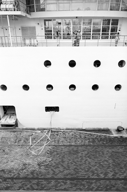 ���U���ʐ^�A���o�� f-2013.08.24Yokohama-IKON-Elmarit28mmF2.8-ACROS100-028.jpg 2013.08.24<BR>���l<BR>IKON Elmarit28/2.8<BR>ACROS100 D76 1:1