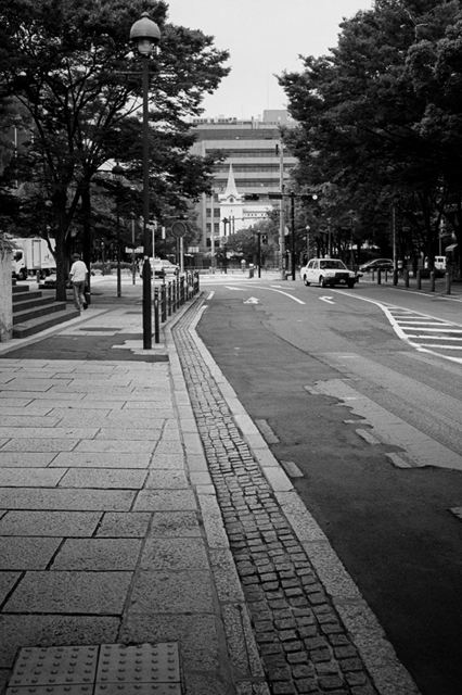 ���U���ʐ^�A���o�� f-2013.08.24Yokohama-IKON-Elmarit28mmF2.8-ACROS100-033.jpg 2013.08.24<BR>���l<BR>IKON Elmarit28/2.8<BR>ACROS100 D76 1:1