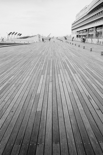 ���U���ʐ^�A���o�� f-2013.08.24Yokohama-IKON-Elmarit28mmF2.8-ACROS100-035.jpg 2013.08.24<BR>���l<BR>IKON Elmarit28/2.8<BR>ACROS100 D76 1:1