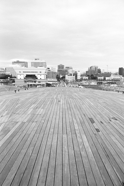 ���U���ʐ^�A���o�� f-2013.08.24Yokohama-IKON-Elmarit28mmF2.8-ACROS100-039.jpg 2013.08.24<BR>���l<BR>IKON Elmarit28/2.8<BR>ACROS100 D76 1:1