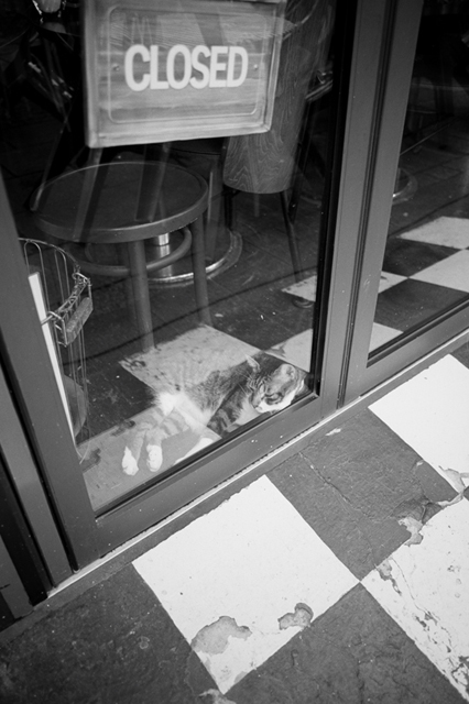 ���U���ʐ^�A���o�� f-2013.08.24Yokohama-IKON-Elmarit28mmF2.8-ACROS100-040.jpg 2013.08.24<BR>���l<BR>IKON Elmarit28/2.8<BR>ACROS100 D76 1:1