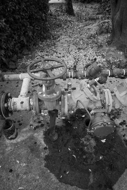���U���ʐ^�A���o�� f-2013.09.09-12Monterey-GRD5-060.jpg 2013.09.09-12<BR>�����g���[<BR>GRD5