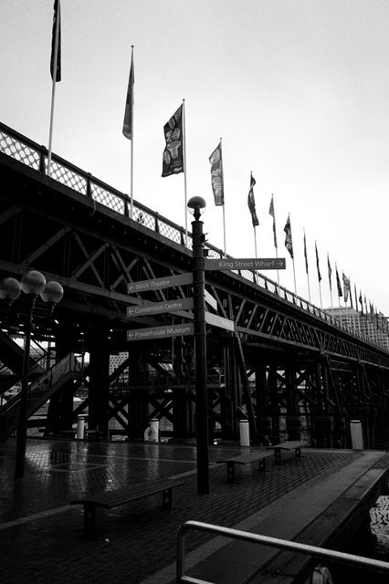 ���U���ʐ^�A���o�� f-2013.09.14-17Sydney-GRD5-066.jpg 2013.09.14-17<BR>�V�h�j�[<BR>GRD5