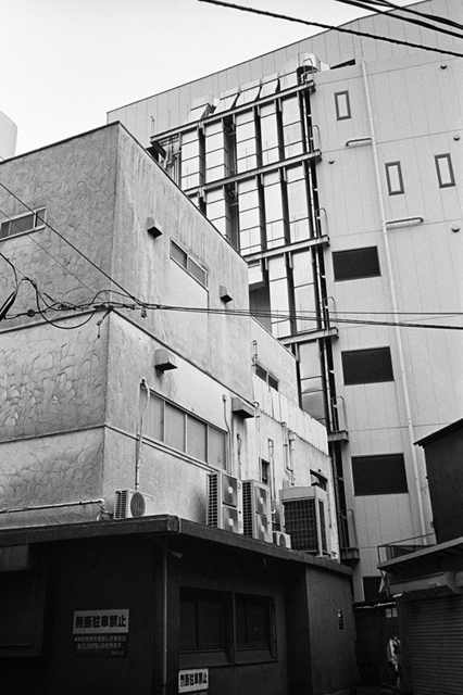 ���U���ʐ^�A���o�� f-2013.11.02Yokohama-M4-Summilux35mmF1.4-400TX-30.jpg 2013.11.02<BR>���l<BR>M4 Summilux35/1.4<BR>400TX D76 1:1