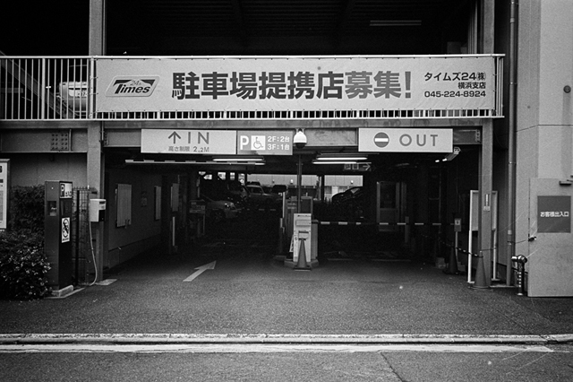 ���U���ʐ^�A���o�� f-2013.11.02Yokohama-M4-Summilux35mmF1.4-400TX-37.jpg 2013.11.02<BR>���l<BR>M4 Summilux35/1.4<BR>400TX D76 1:1