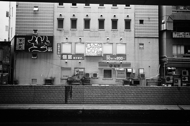 ���U���ʐ^�A���o�� f-2013.11.02Yokohama-M4-Summilux35mmF1.4-400TX-40.jpg 2013.11.02<BR>���l<BR>M4 Summilux35/1.4<BR>400TX D76 1:1