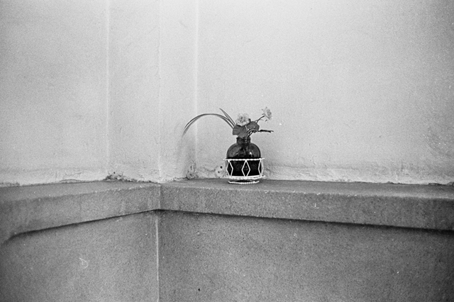 ���U���ʐ^�A���o�� f-2013.11.10-1Yokohama-M4-Summilux35mmF1.4-400TX-21.jpg 2013.11.10<BR>���l-1<BR>M4 Summilux35mmF1.4<BR>400TX D76 1:1