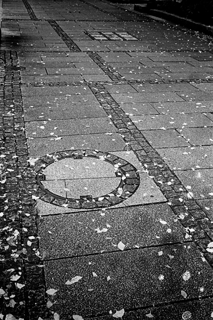���U���ʐ^�A���o�� f-2013.11.10-2Yokohama-M4-Summilux35mmF1.4-400TX-34.jpg 2013.11.10<BR>���l-2<BR>M4 Summilux35mmF1.4<BR>400TX D76 1:1