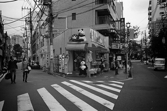 ���U���ʐ^�A���o�� f-2013.11.10-2Yokohama-M4-Summilux35mmF1.4-400TX-37.jpg 2013.11.10<BR>���l-2<BR>M4 Summilux35mmF1.4<BR>400TX D76 1:1