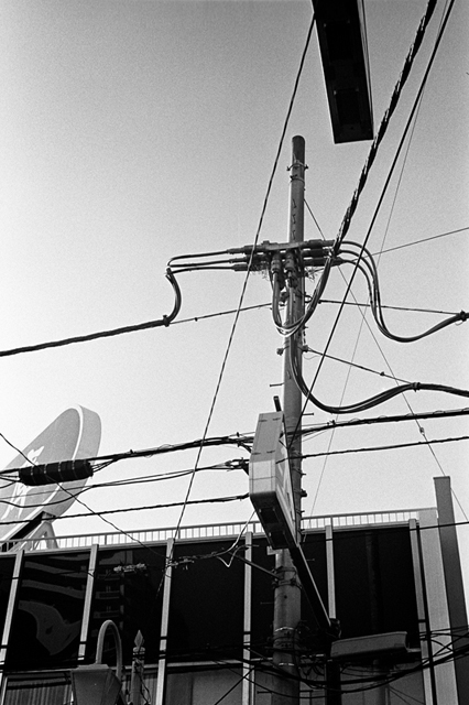 ���U���ʐ^�A���o�� f-2013.11.23Tokyo&Yokohama-IKON-Summilux50mmF1.4-400TX-32.jpg 2013.11.23<BR>�����E���l<BR>IKON Summilux50mmF1.4<BR>400TX D76 1:1