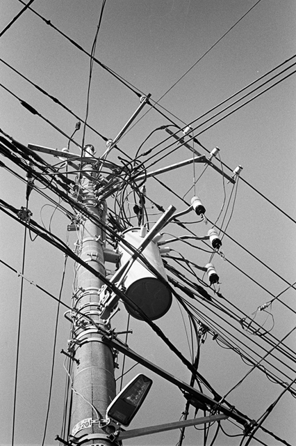 ���U���ʐ^�A���o�� f-2013.11.23Tokyo&Yokohama-IKON-Summilux50mmF1.4-400TX-34.jpg 2013.11.23<BR>�����E���l<BR>IKON Summilux50mmF1.4<BR>400TX D76 1:1