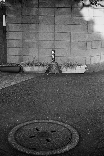 ���U���ʐ^�A���o�� f-2013.11.23Tokyo&Yokohama-IKON-Summilux50mmF1.4-400TX-39.jpg 2013.11.23<BR>�����E���l<BR>IKON Summilux50mmF1.4<BR>400TX D76 1:1
