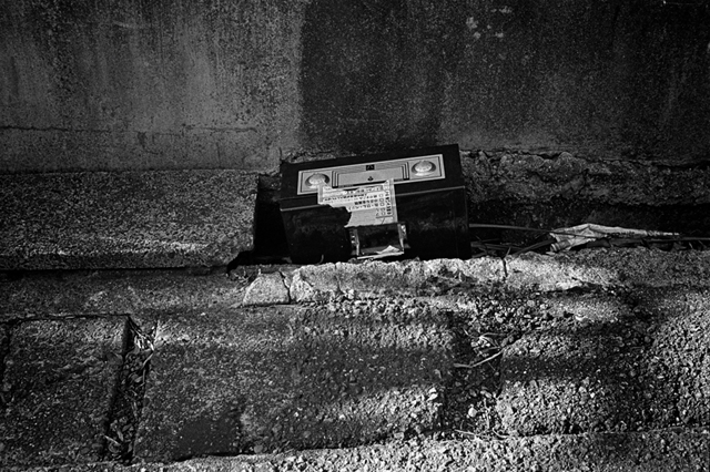 ���U���ʐ^�A���o�� f-2013.11.23Tokyo&Yokohama-IKON-Summilux50mmF1.4-400TX-40.jpg 2013.11.23<BR>�����E���l<BR>IKON Summilux50mmF1.4<BR>400TX D76 1:1