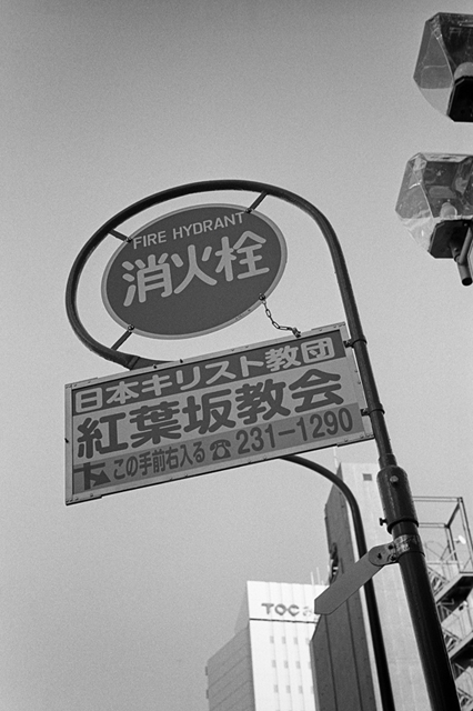 ���U���ʐ^�A���o�� f-2013.12.07Yokohama-M4-Summilux50mmF1.4-400TX-38.jpg 2013.12.07<BR>���l<BR>M4 Summilux50mmF1.4<BR>400TX D76 1:1