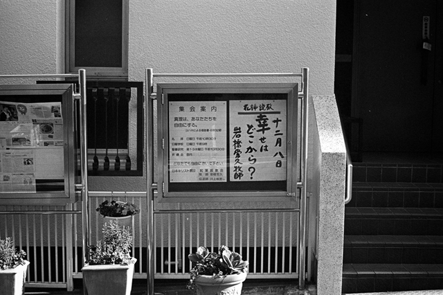 ���U���ʐ^�A���o�� f-2013.12.07Yokohama-M4-Summilux50mmF1.4-400TX-39.jpg 2013.12.07<BR>���l<BR>M4 Summilux50mmF1.4<BR>400TX D76 1:1
