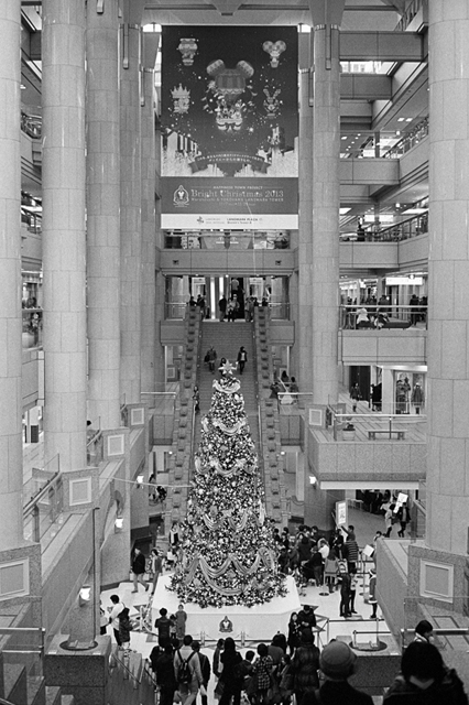 ���U���ʐ^�A���o�� f-2013.12.07Yokohama-M4-Summilux50mmF1.4-400TX-40.jpg 2013.12.07<BR>���l<BR>M4 Summilux50mmF1.4<BR>400TX D76 1:1